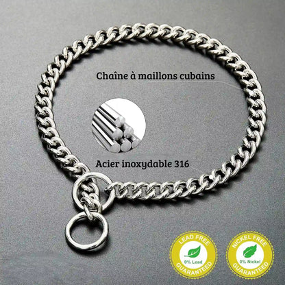 Collier chaîne argenté pour chien présenté sur fond sombre avec annotations sur la matière.