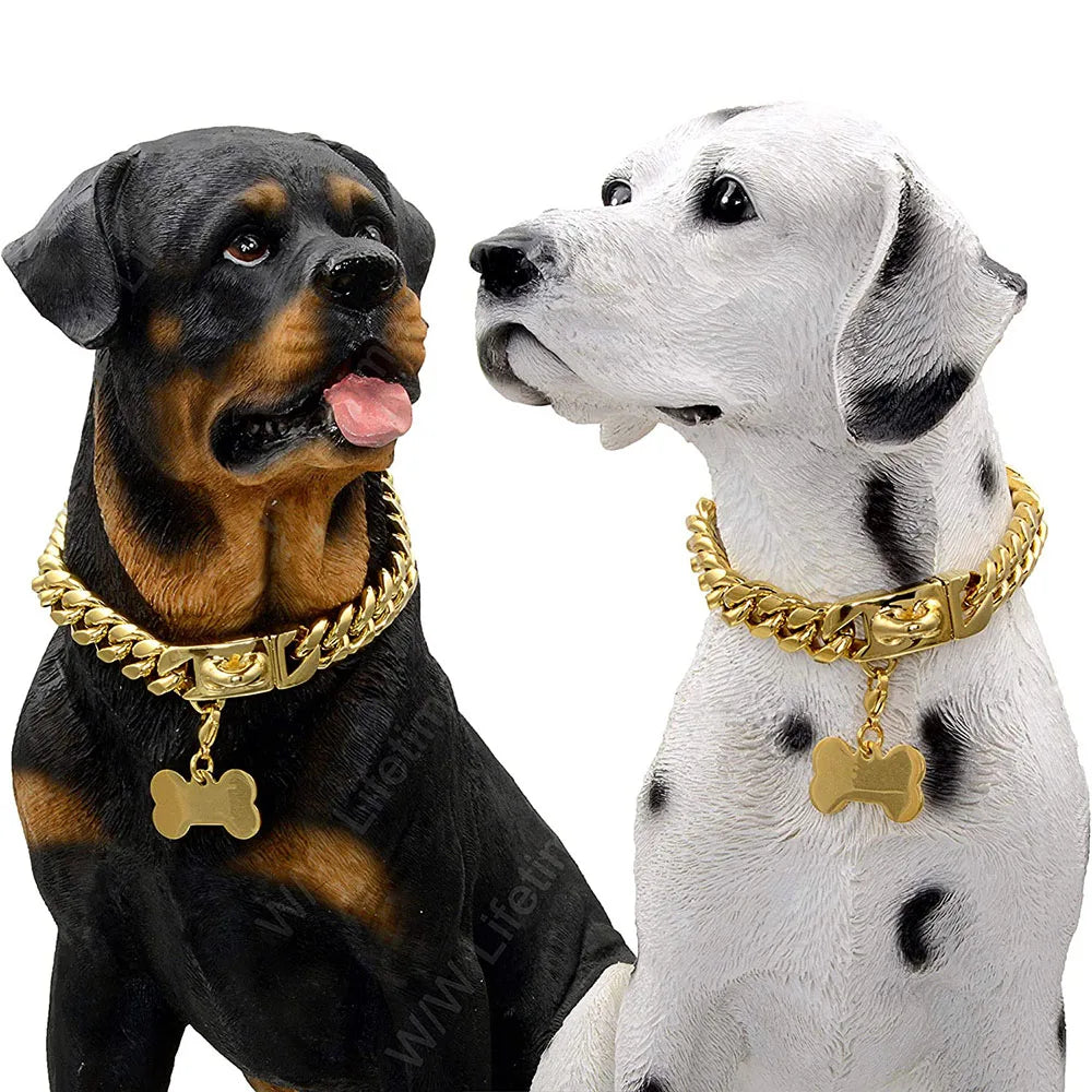 Rottweiler et chien blanc tacheté avec collier doré autour du cou.