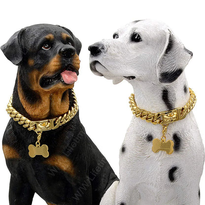 Rottweiler et chien blanc tacheté avec collier doré autour du cou.
