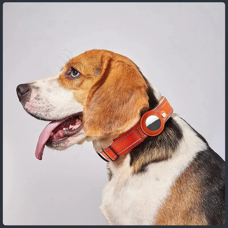 Beagle avec collier pour chien en nylon réfléchissant orange réglable compatible AirTag.