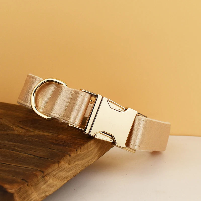 Collier beige pour chien avec boucle métal dorée gravée présenté sur un support en bois.