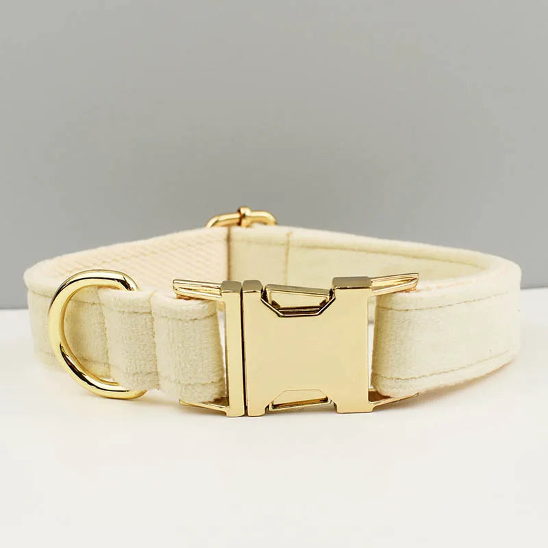 Collier beige pour chien en velours avec nœud papillon et gravure.