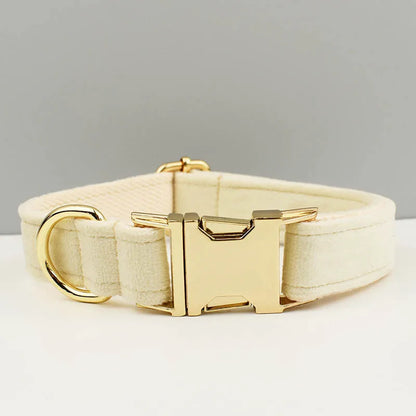 Collier beige pour chien en velours avec nœud papillon et gravure.