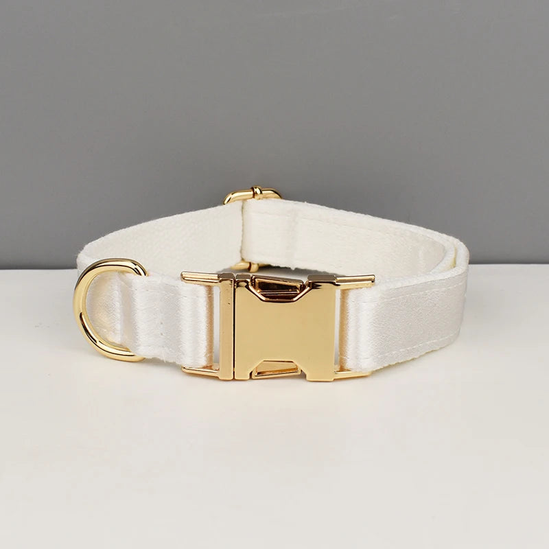 Collier blanc pour chien avec boucle métal dorée gravée devant un fond gris et blanc.
