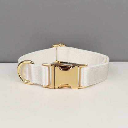 Collier blanc pour chien avec boucle métal dorée gravée devant un fond gris et blanc.