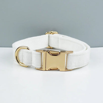 Collier blanc pour chien en velours avec bouclerie dorée.