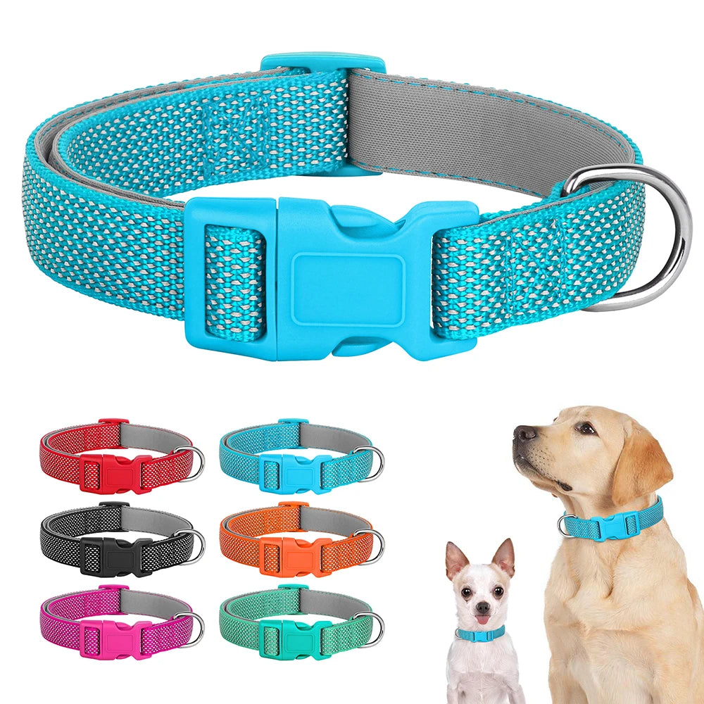 Collier bleu pour chien avec autres coloris et deux chiens portant le modèle.