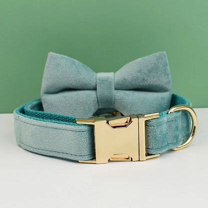 Collier chien élégant en velours bleu clair avec nœud papillon assorti.