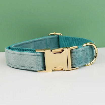 Collier bleu clair pour chien en velours avec nœud papillon et gravure.