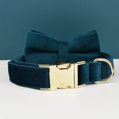 Collier chien élégant en velours bleu foncé avec nœud papillon assorti.