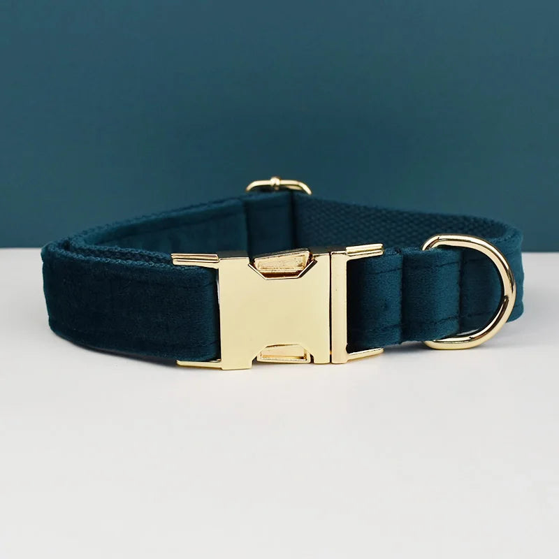 Collier bleu foncé pour chien en velours avec nœud papillon et gravure.