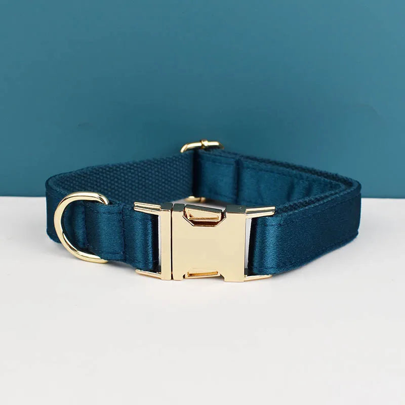 Collier bleu pétrole pour chien avec boucle métal dorée gravée devant un fond bleu et blanc.