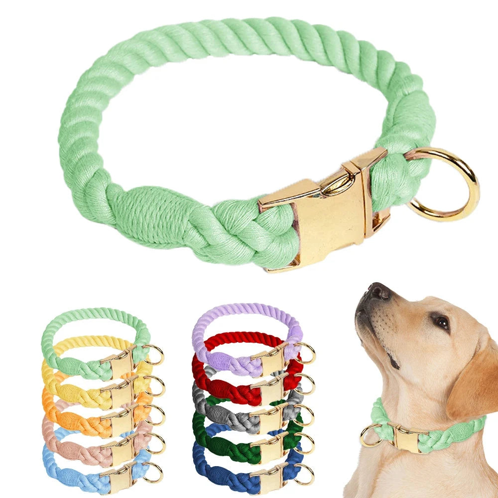 Visuel de colliers pour chien de plusieurs couleurs avec un chien portant un collier vert.