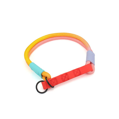 Collier pour chien en corde tressée multicolore jaune, orange, rose et violet avec poignée en TPU rouge et anneau noir présenté sur un fond blanc.