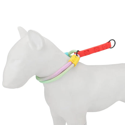 Collier pour chien en corde tressée multicolore pastel avec poignée rouge porté sur un mannequin chien blanc de profil.