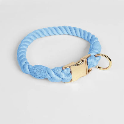 Collier bleu ciel pour chien en imitation corde torsadée avec fermoir et anneau dorés sur fond clair.