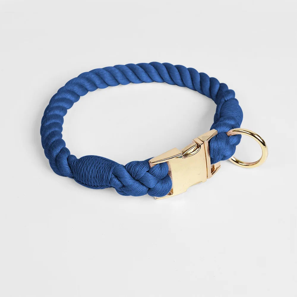 Collier bleu foncé pour chien en imitation corde torsadée avec fermoir et anneau dorés sur fond clair.
