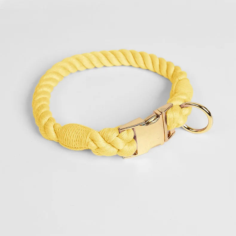 Collier jaune pour chien en imitation corde torsadée avec fermoir et anneau dorés sur fond clair.