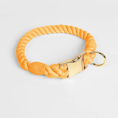 Collier orange pour chien en imitation corde torsadée avec fermoir et anneau dorés sur fond clair.
