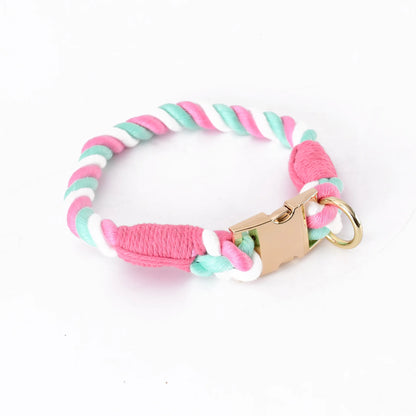 Collier rose fleur de cerisier pour chien en imitation corde torsadée avec fermoir et anneau dorés sur fond clair.