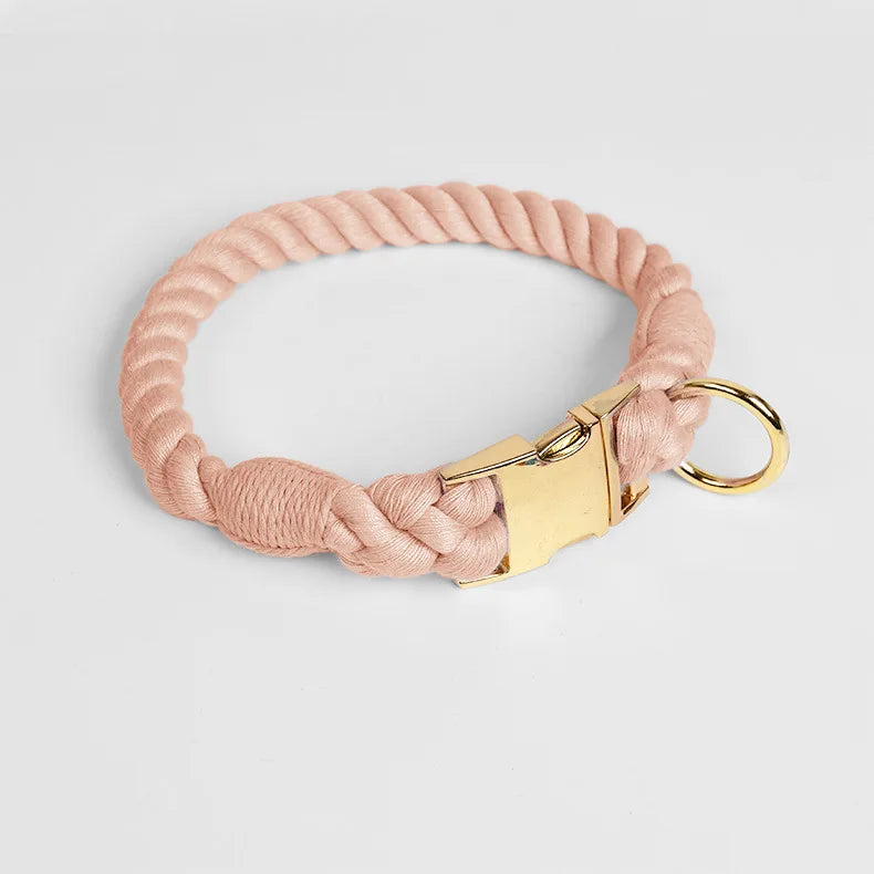 Collier rose pâle pour chien en imitation corde torsadée avec fermoir et anneau dorés sur fond clair.