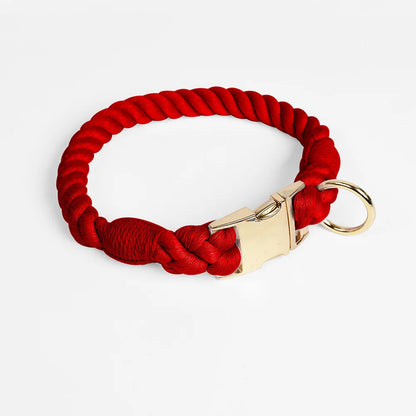 Collier rouge pour chien en imitation corde torsadée avec fermoir et anneau dorés sur fond clair.