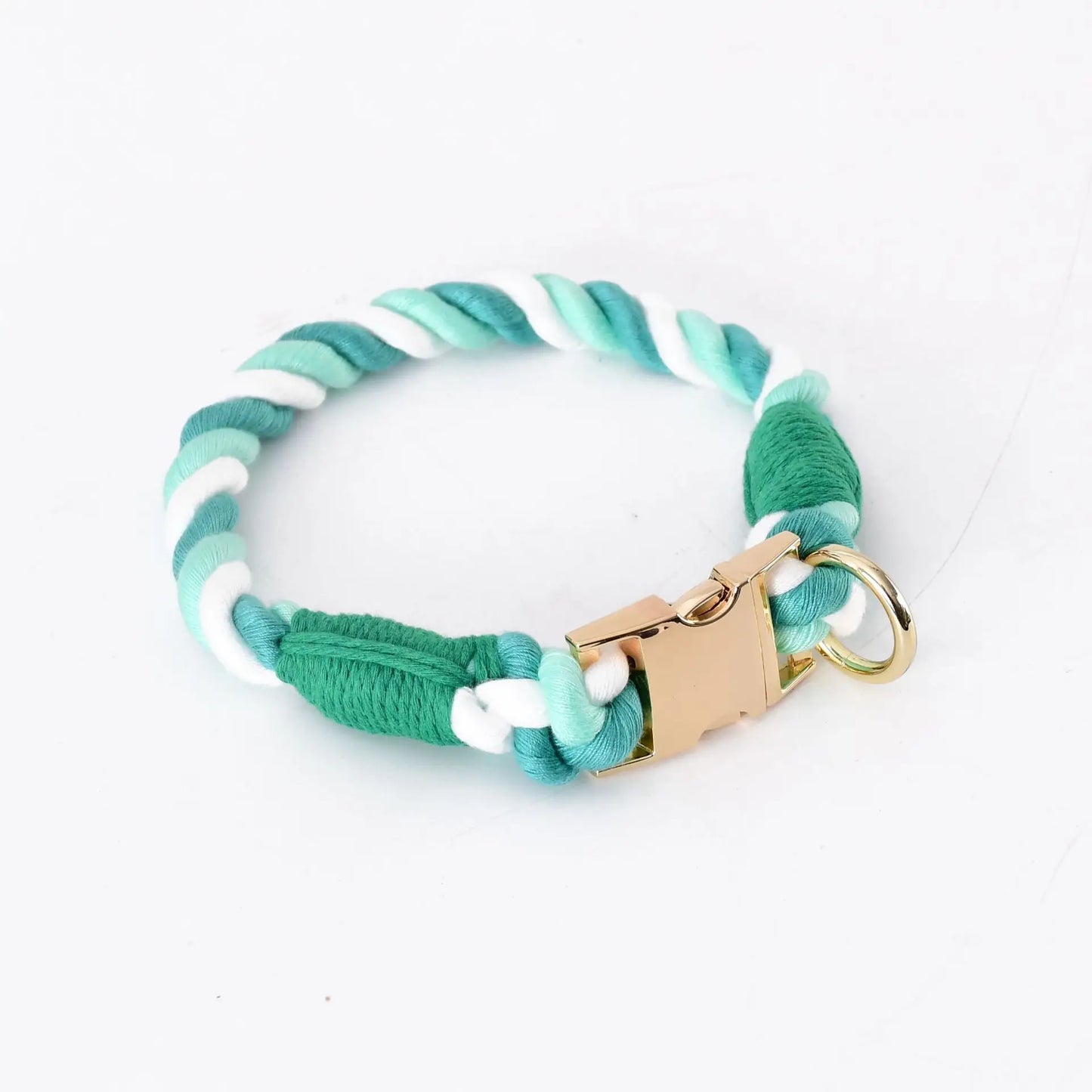 Collier vert et blanc pour chien en imitation corde torsadée avec fermoir et anneau dorés sur fond clair.