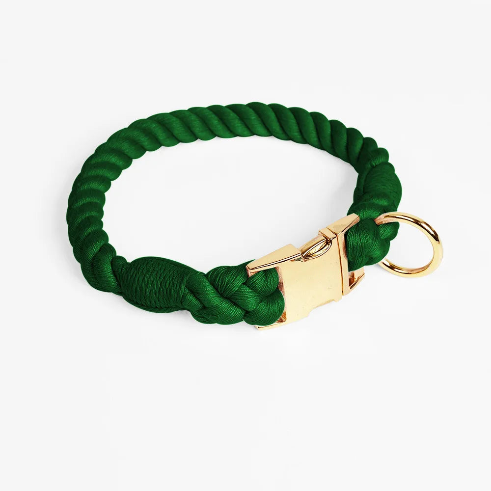 Collier vert foncé pour chien en imitation corde torsadée avec fermoir et anneau dorés sur fond clair.