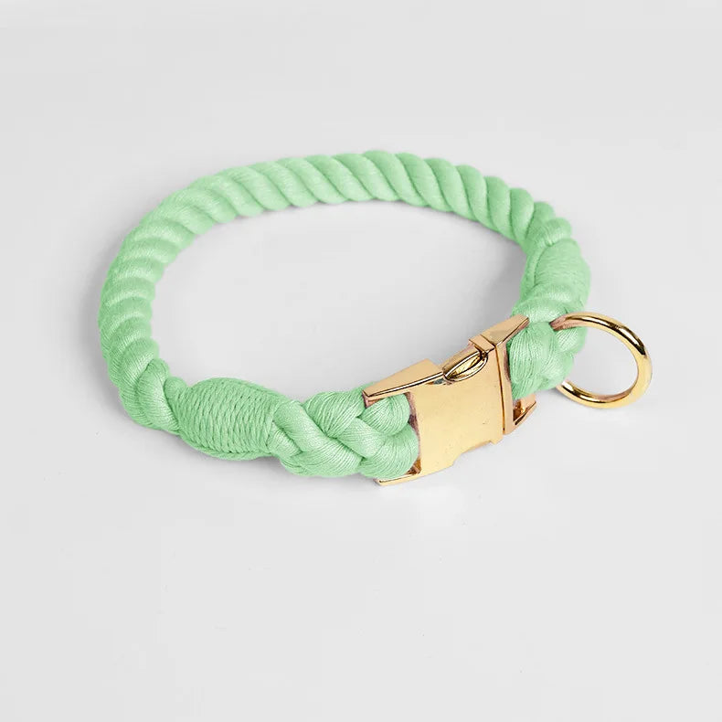 Collier vert menthe pour chien en imitation corde torsadée avec fermoir et anneau dorés sur fond clair.