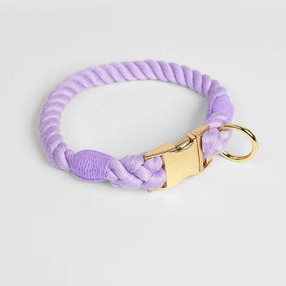 Collier violet pour chien en imitation corde torsadée avec fermoir et anneau dorés sur fond clair.