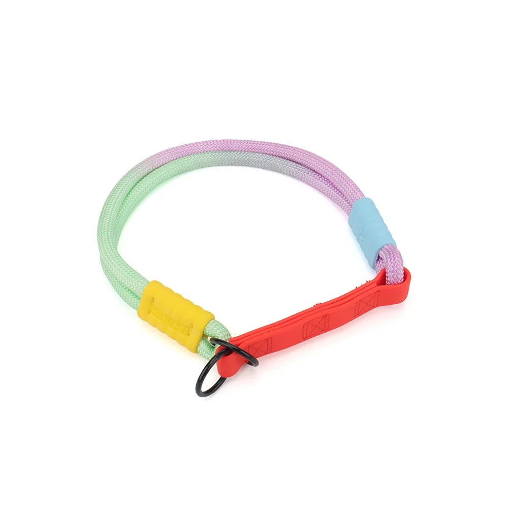 Collier pour chien en corde tressée multicolore pastel vert, rose et violet avec poignée en TPU rouge et anneau noir présenté sur un fond blanc.