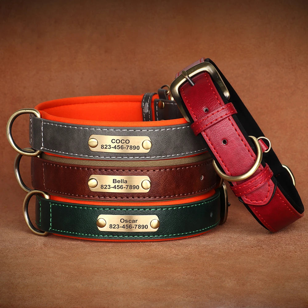Assortiment de colliers fins en cuir pour chien avec plaques gravées dorées.