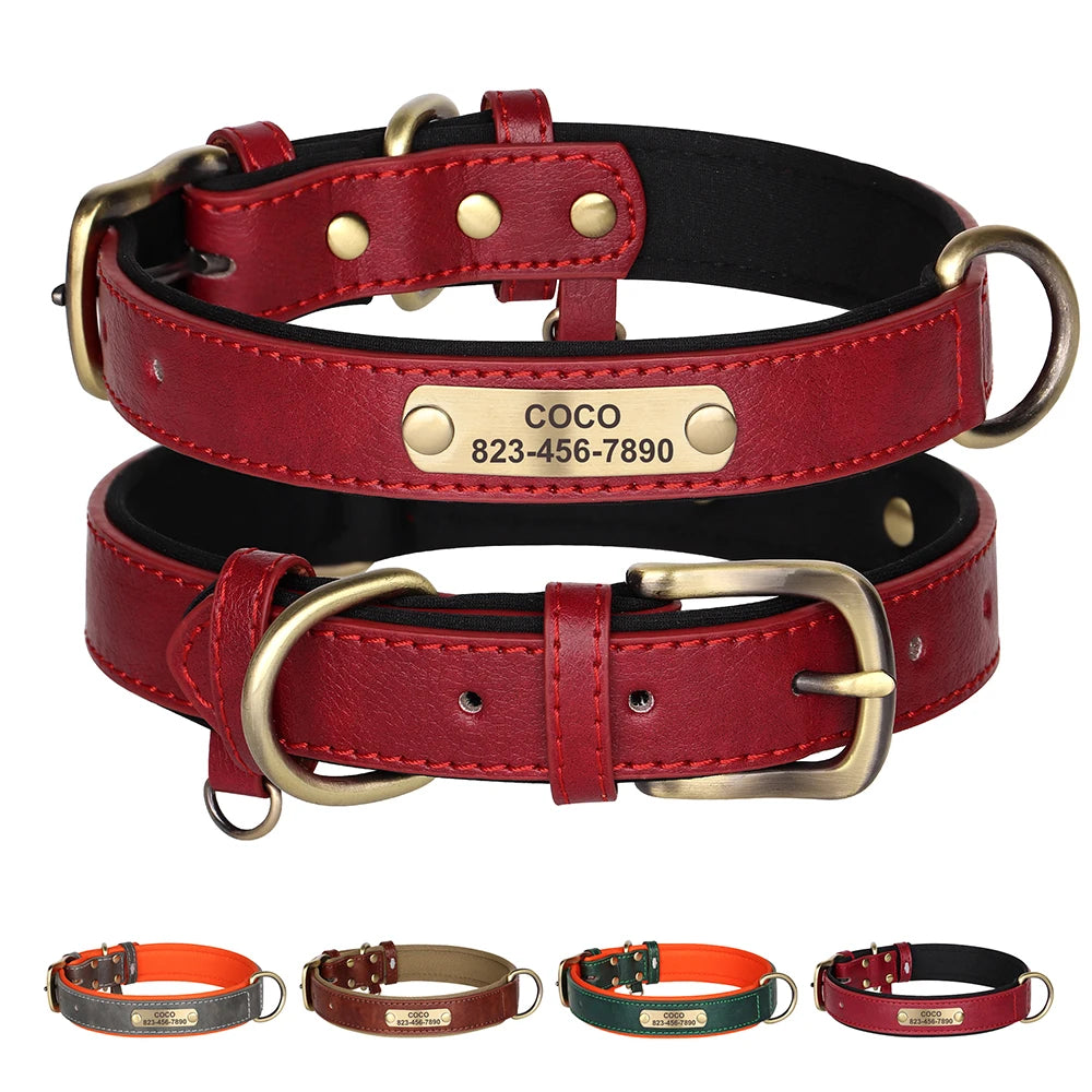 Collier fin rouge pour chien avec plaque d’identification dorée présenté avec plusieurs variantes.
