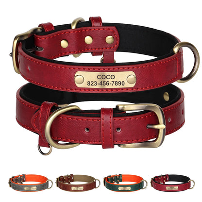 Collier fin rouge pour chien avec plaque d’identification dorée présenté avec plusieurs variantes.