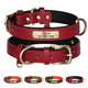 Collier fin rouge pour chien avec plaque d’identification dorée présenté avec plusieurs variantes.