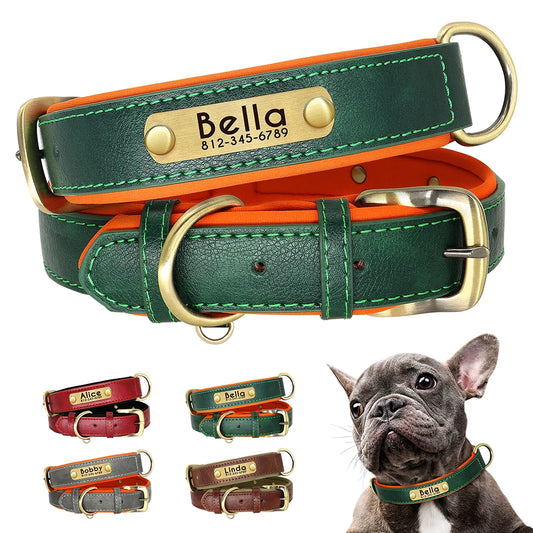 Vue produit d’un collier large vert pour chien avec visuels de variantes.