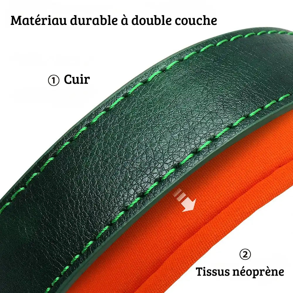 Gros plan sur la matière du collier pour chien en cuir pu bicolore avec doublure rembourrée.