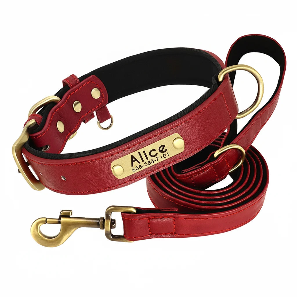 Collier pour chien en cuir PU rouge personnalisé avec laisse assortie présenté sur un fond blanc.