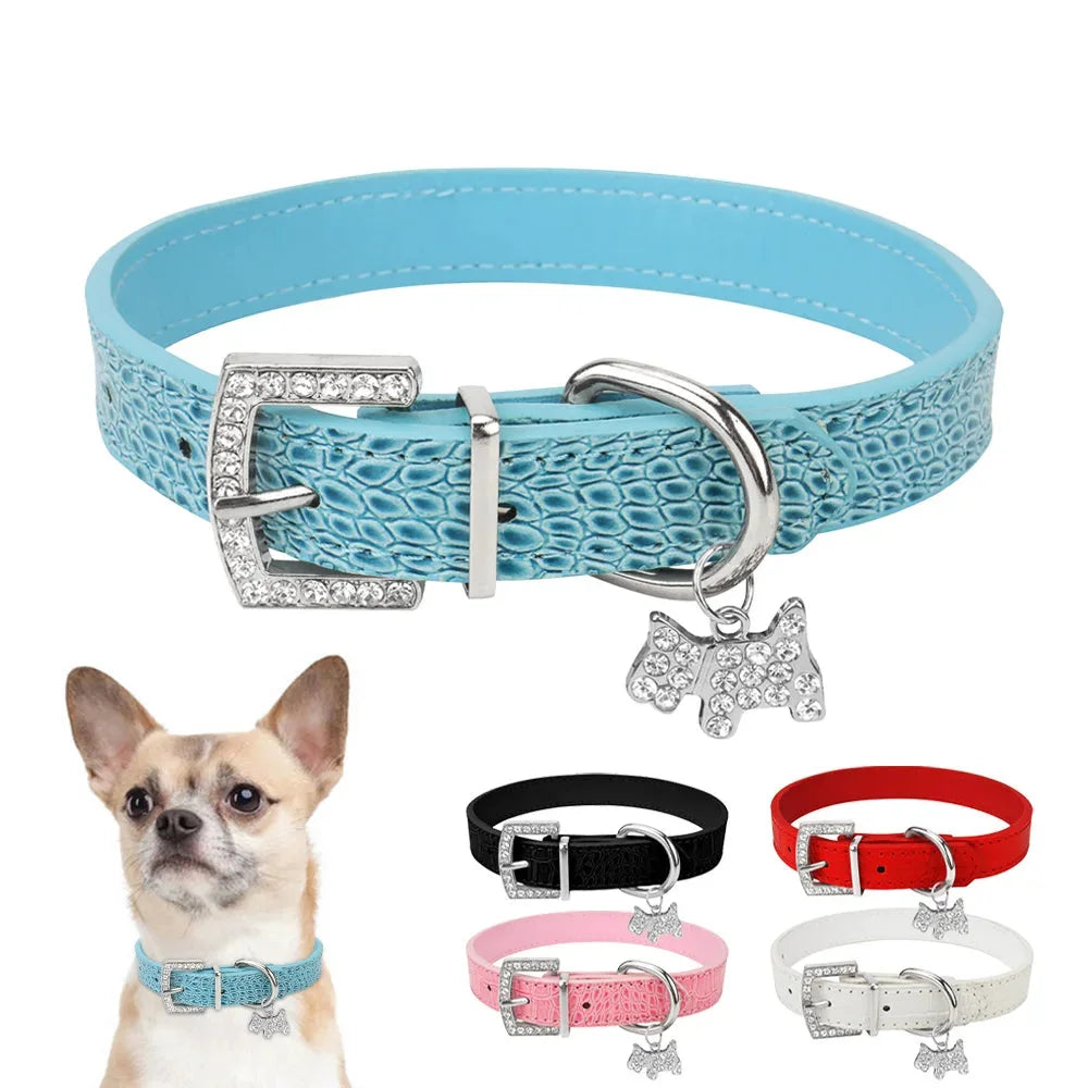 Visuel du collier chien en cuir PU porté par un chihuahua avec présentation des coloris disponibles.

