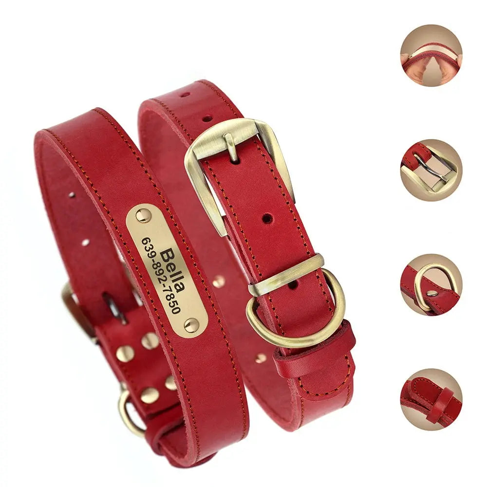 Vue produit d'un collier pour chien en cuir rouge avec plaque gravée, boucle réglable et anneau D métallique et ses principales caractéristiques évoquées sur la droite de l'image.