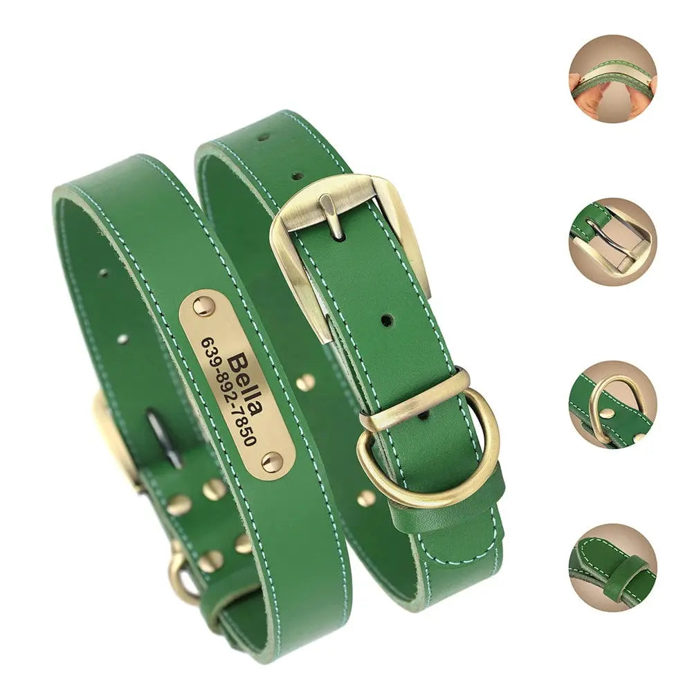 Vue produit d'un collier pour chien en cuir vert avec plaque gravée, boucle réglable et anneau D métallique et ses principales caractéristiques évoquées sur la droite de l'image.