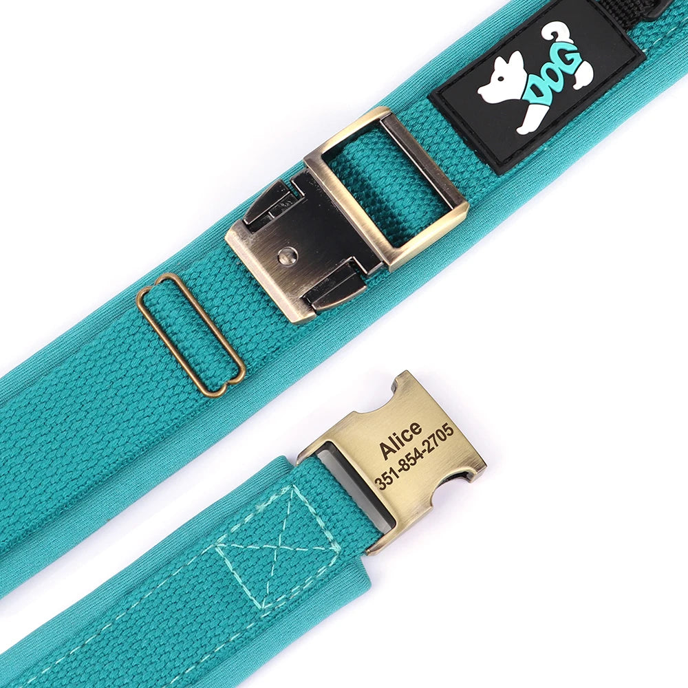 Gros plan sur la boucle métal et la plaque gravée du collier pour chien turquoise.