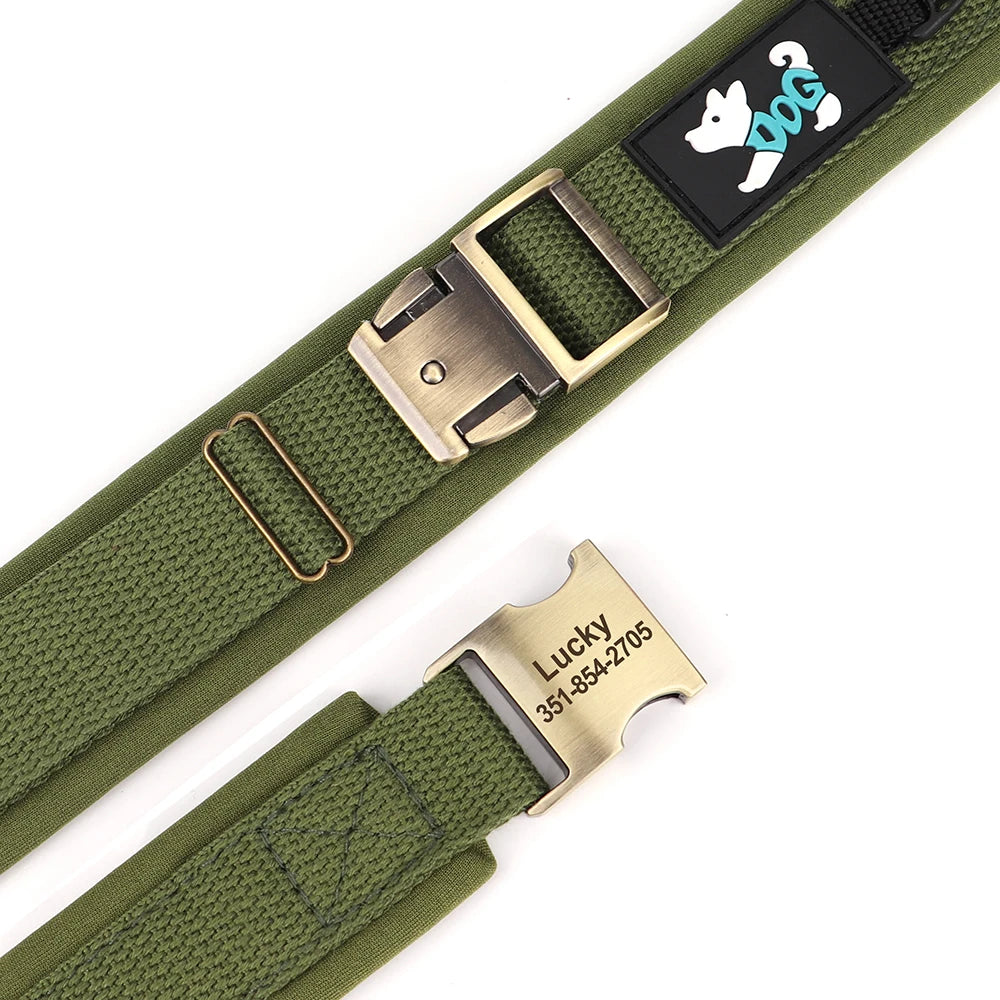 Gros plan sur la boucle métal et la plaque gravée du collier pour chien vert.