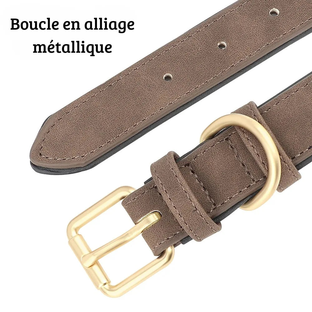 Détail de la boucle métallique dorée du collier personnalisé pour chien.