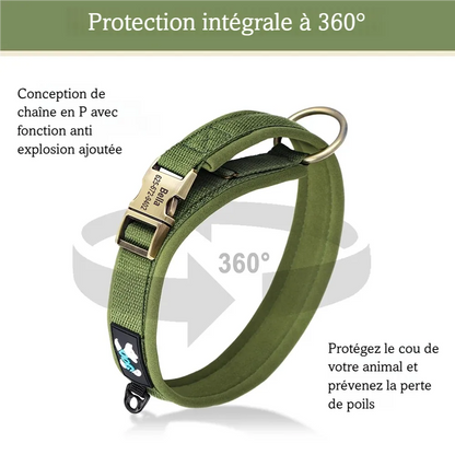 Vue technique du collier pour chien montrant la construction rembourrée sur tout le tour.