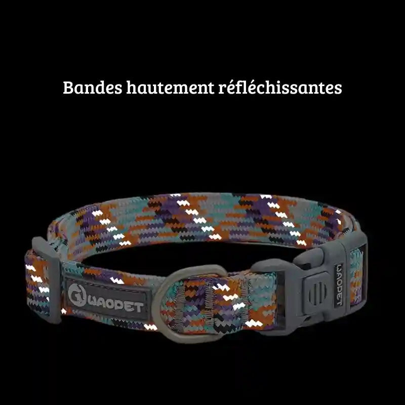 Détail des éléments réfléchissants intégrés dans le collier en nylon tressé multicolore.
