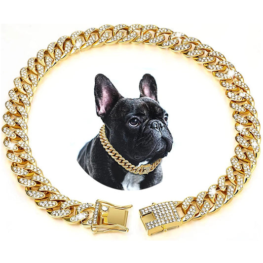 Collier chaîne doré pour chien avec strass, présenté autour d’une photo de chien au centre.
