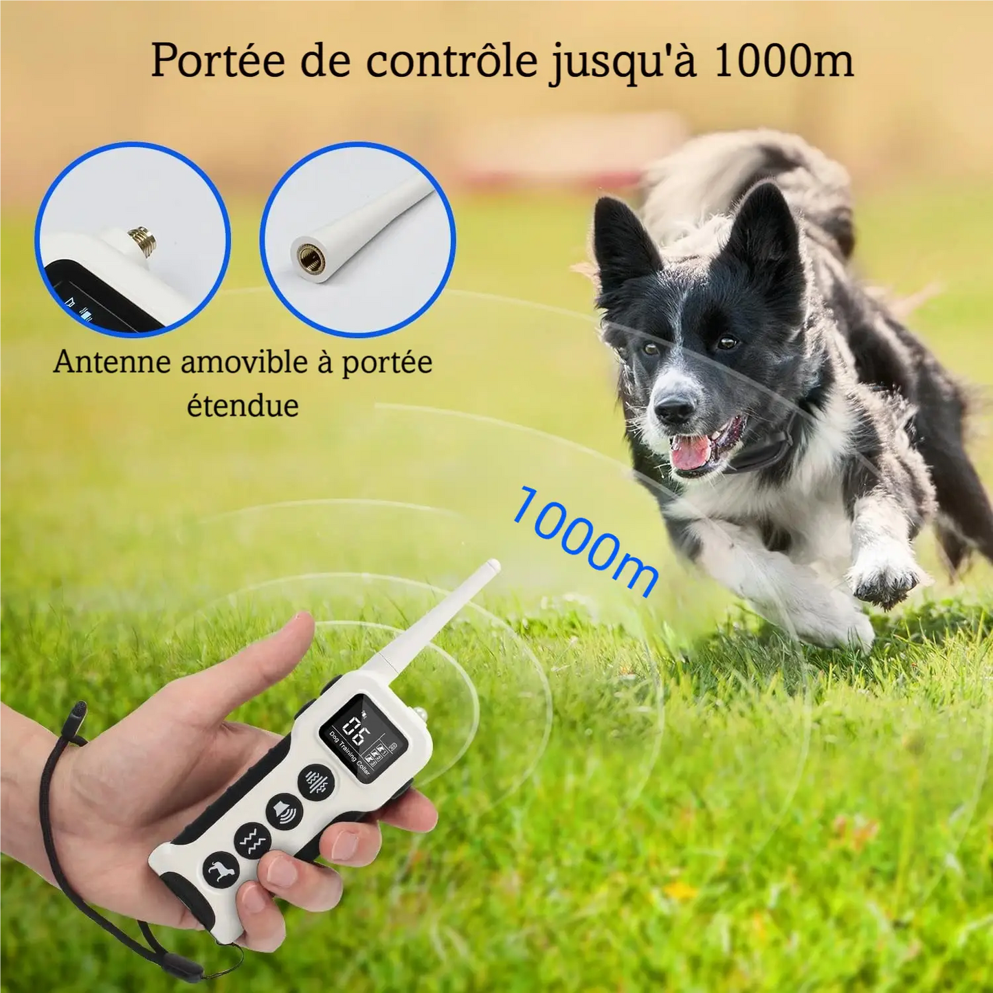Visuel de la télécommande longue portée et du collier sonore et vibrant pour chien utilisé à distance en extérieur.