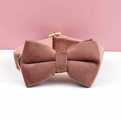 Collier marron pour chien en velours avec nœud papillon assorti.
