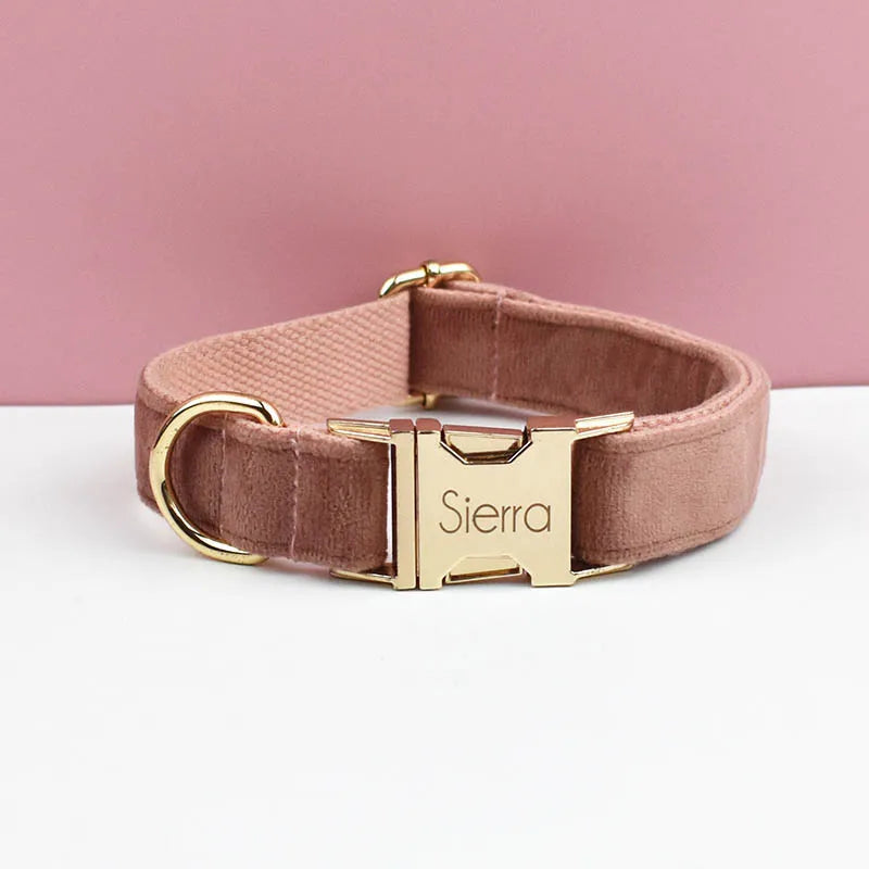 Collier marron pour chien en velours avec bouclerie dorée.